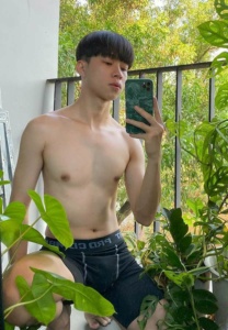 gavin-tree เก่ง กวินพัฒน์ tree