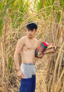 view-stand วิว ชนายุทธ